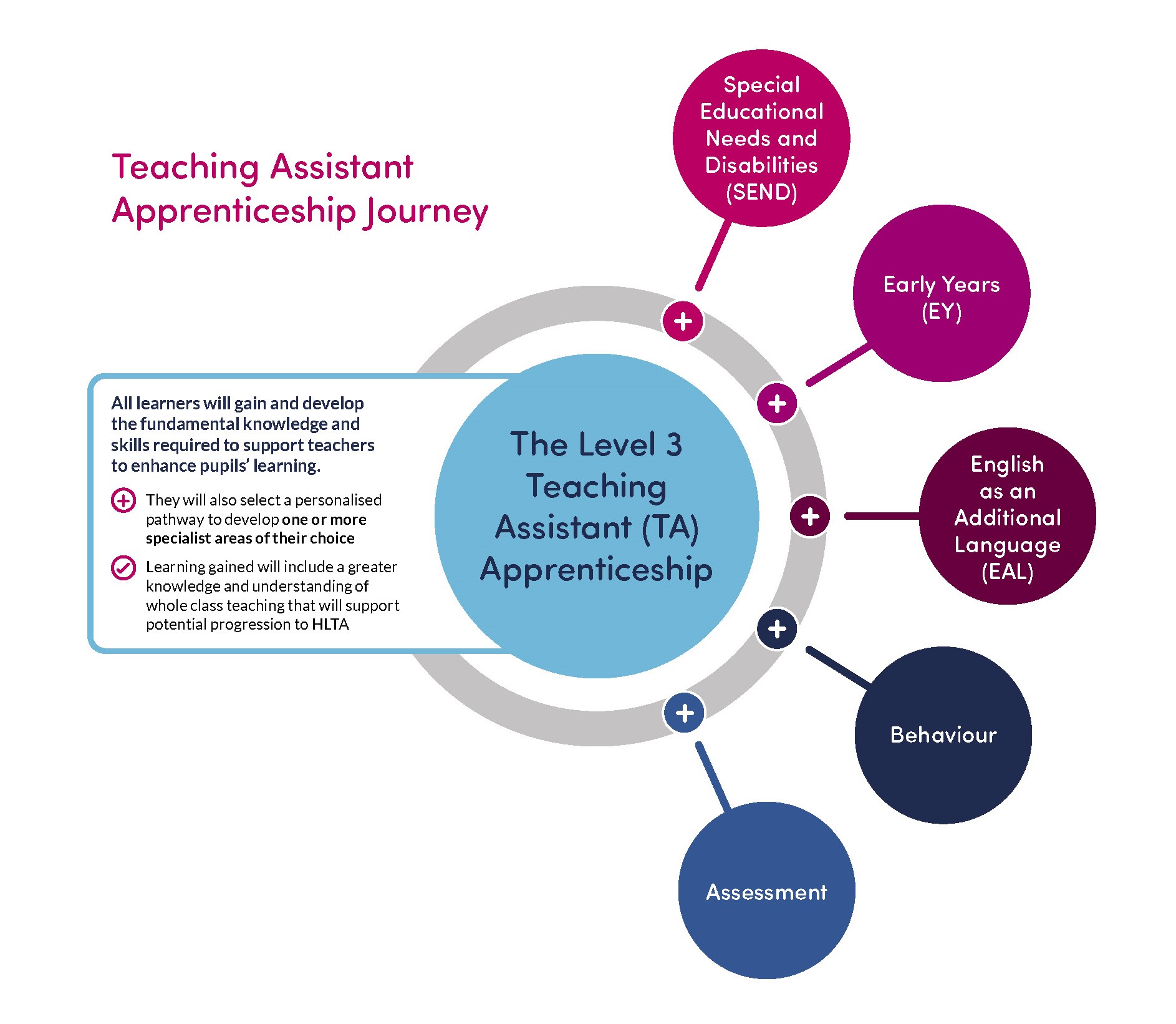 Teaching Assistant Apprenticeship Level 3 Outstanding Leaders 